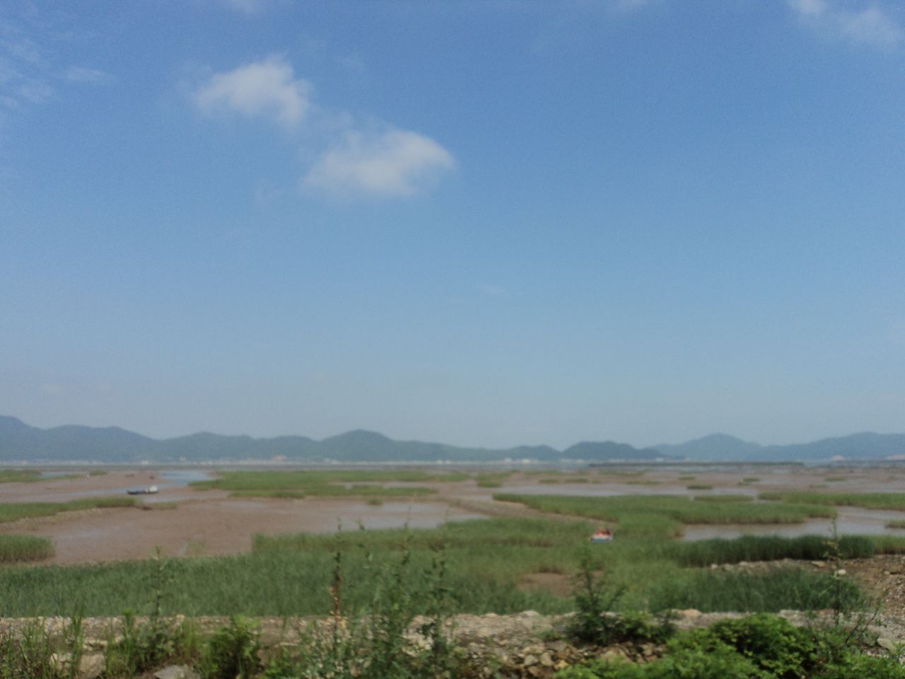 西沪港湿地保护区