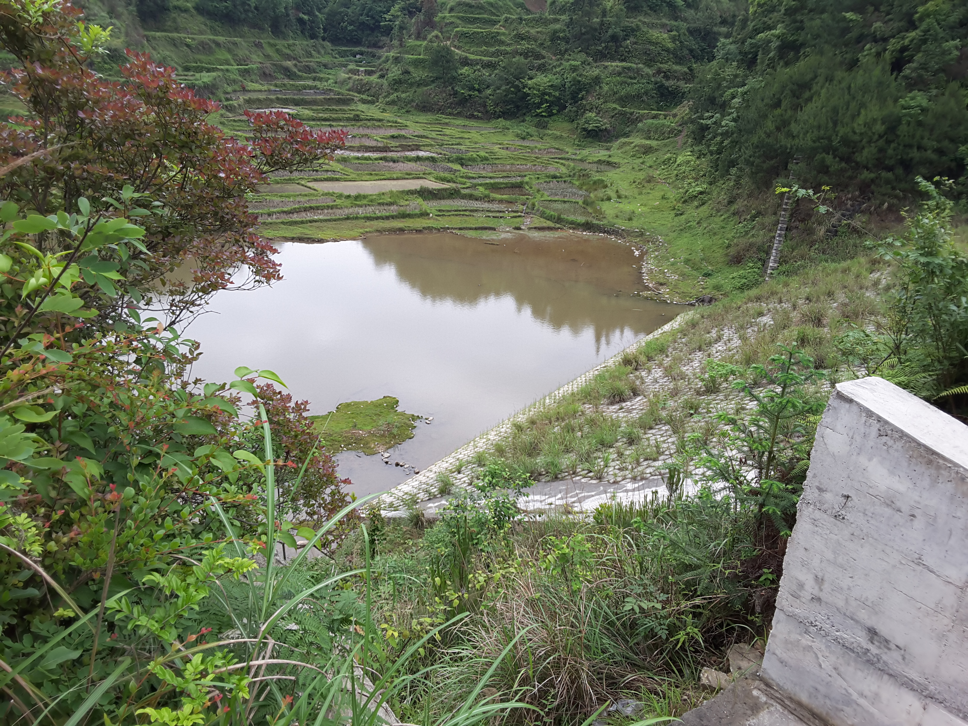 平天水库