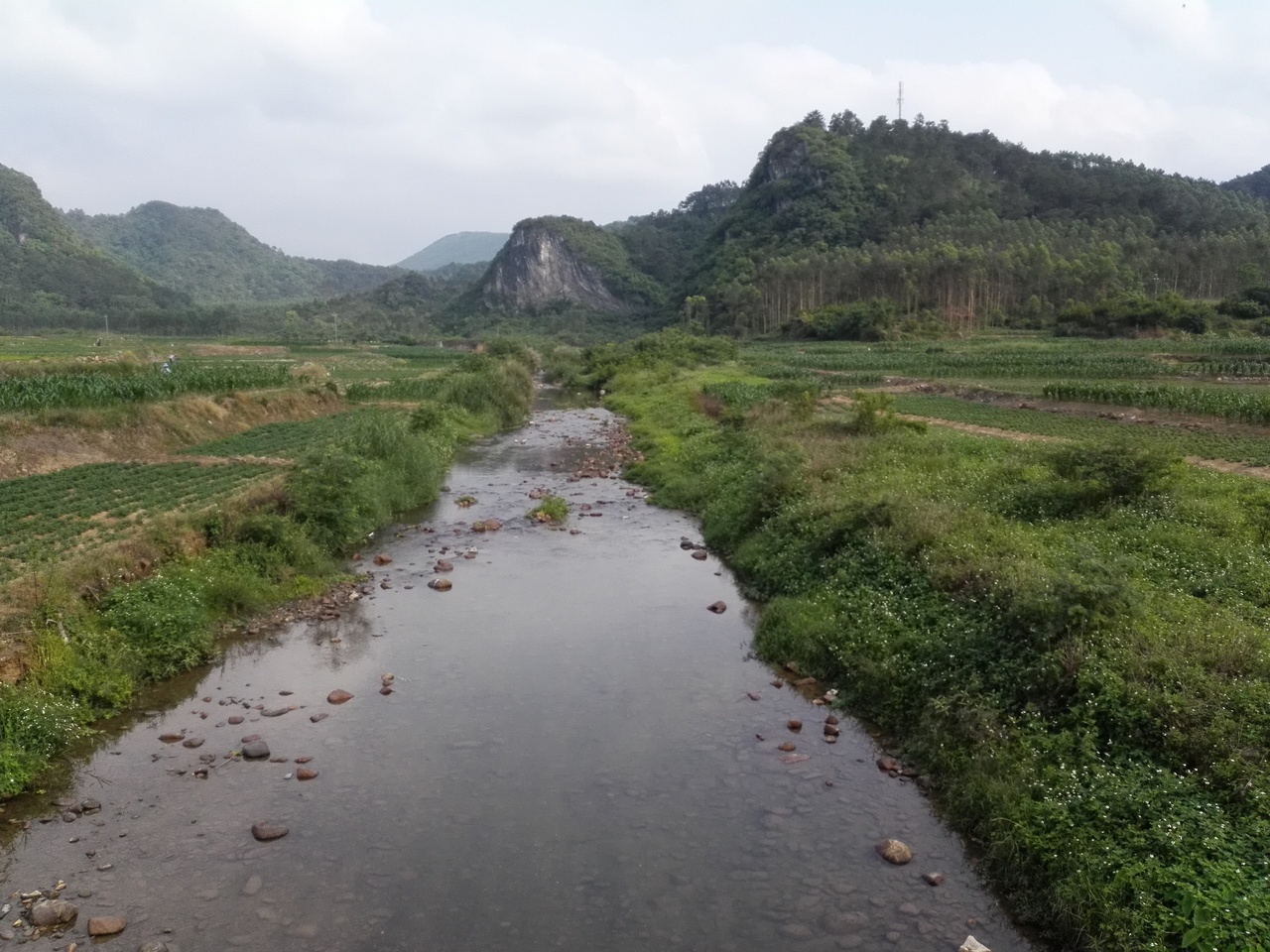 马头河