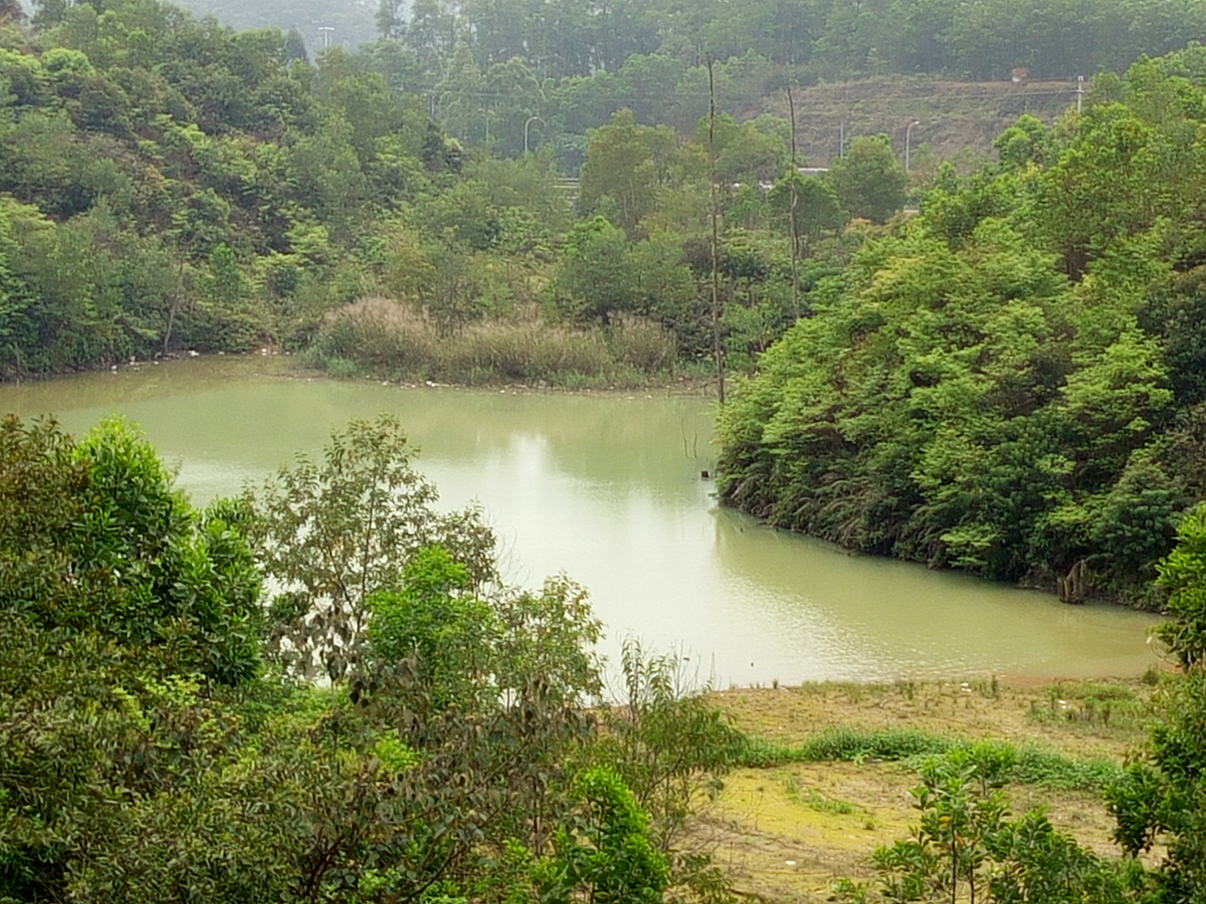 向东水库