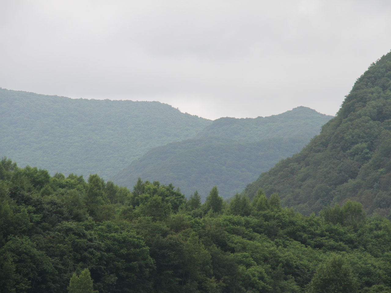 碾盘沟