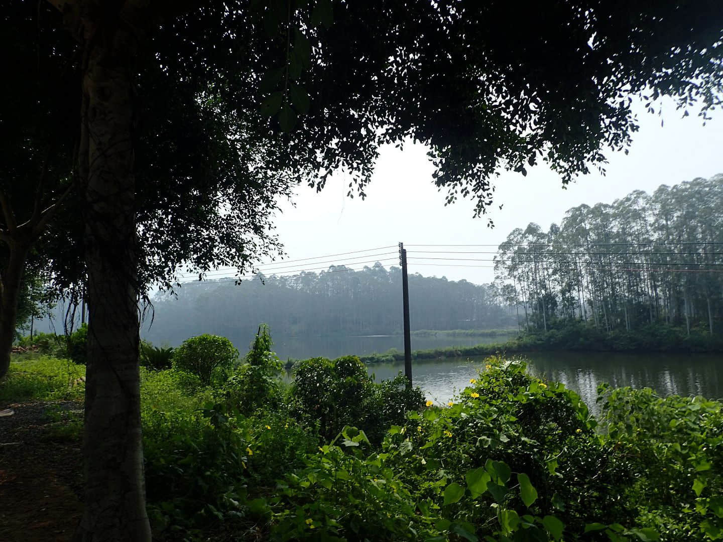 黄泥坑水库