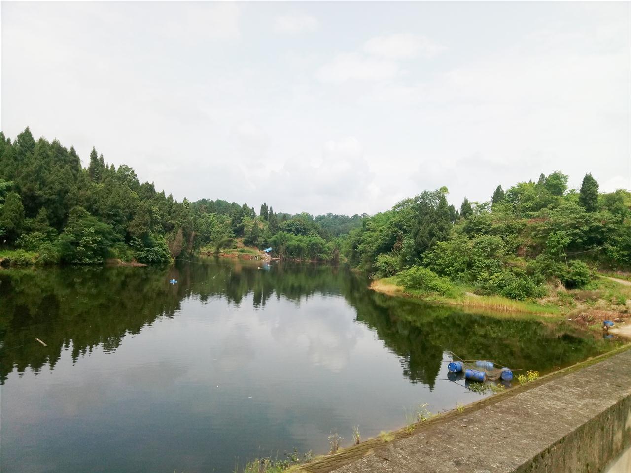 面坊湾水库