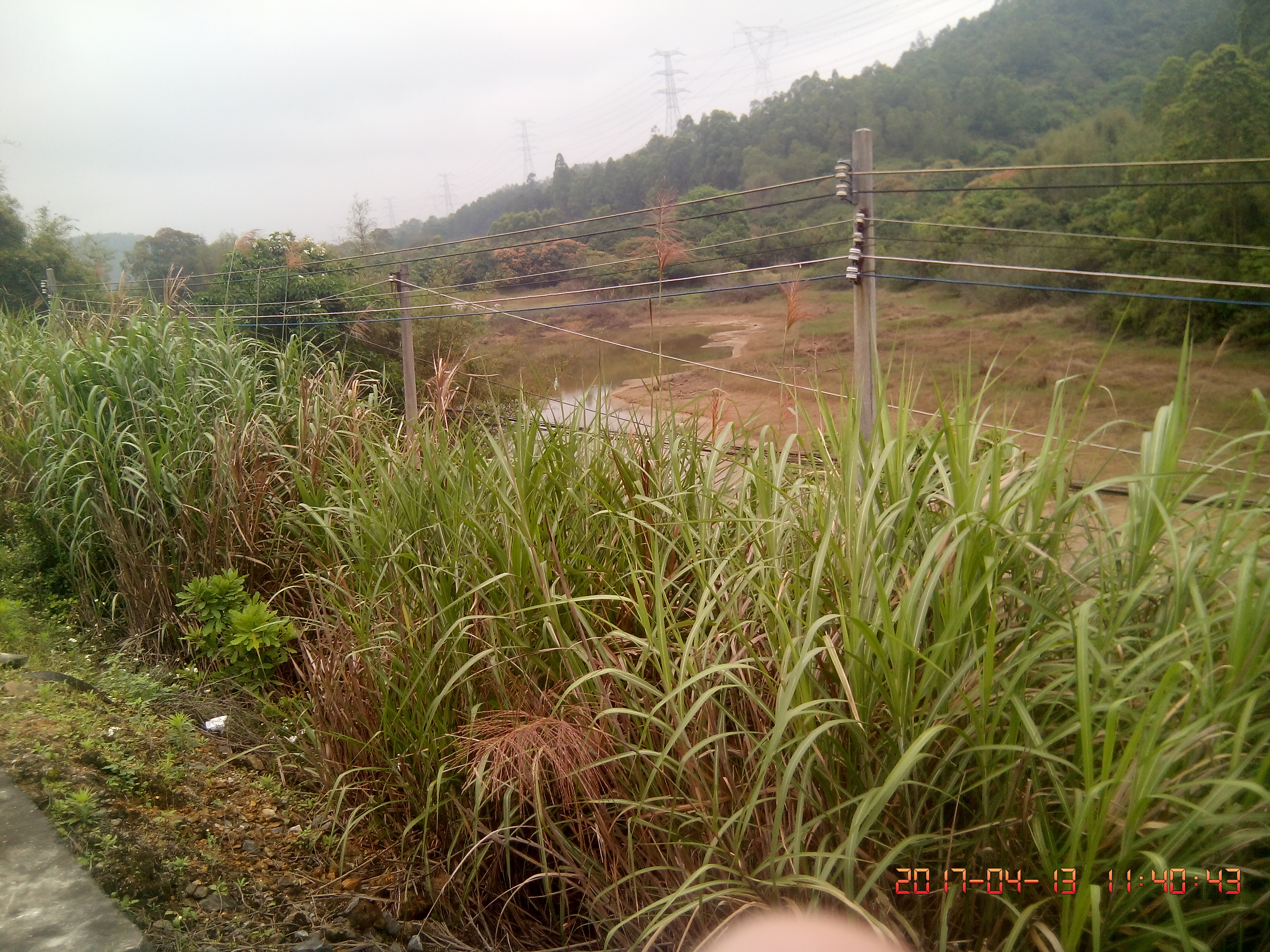 鸭麻岭水库