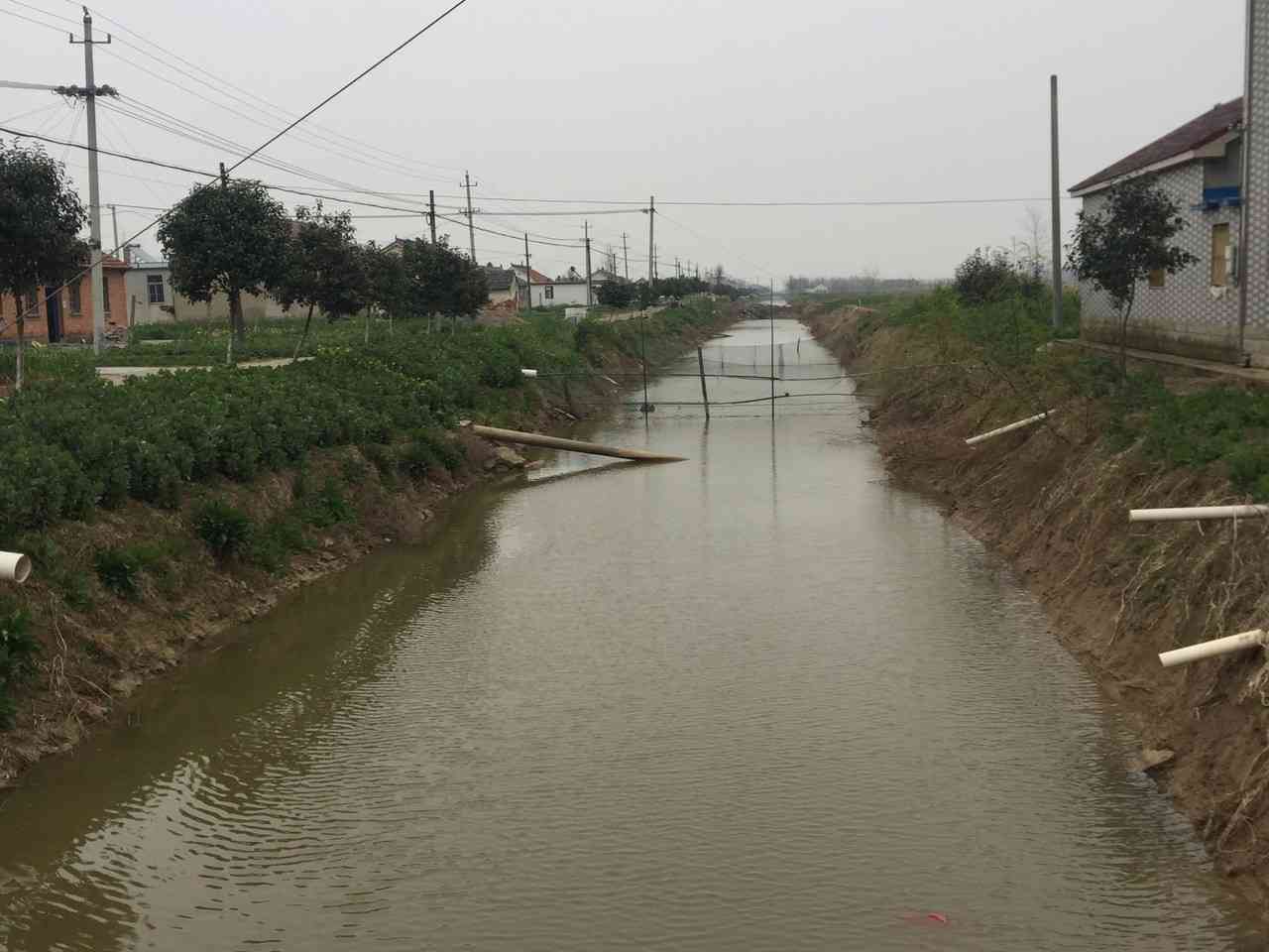 中强河