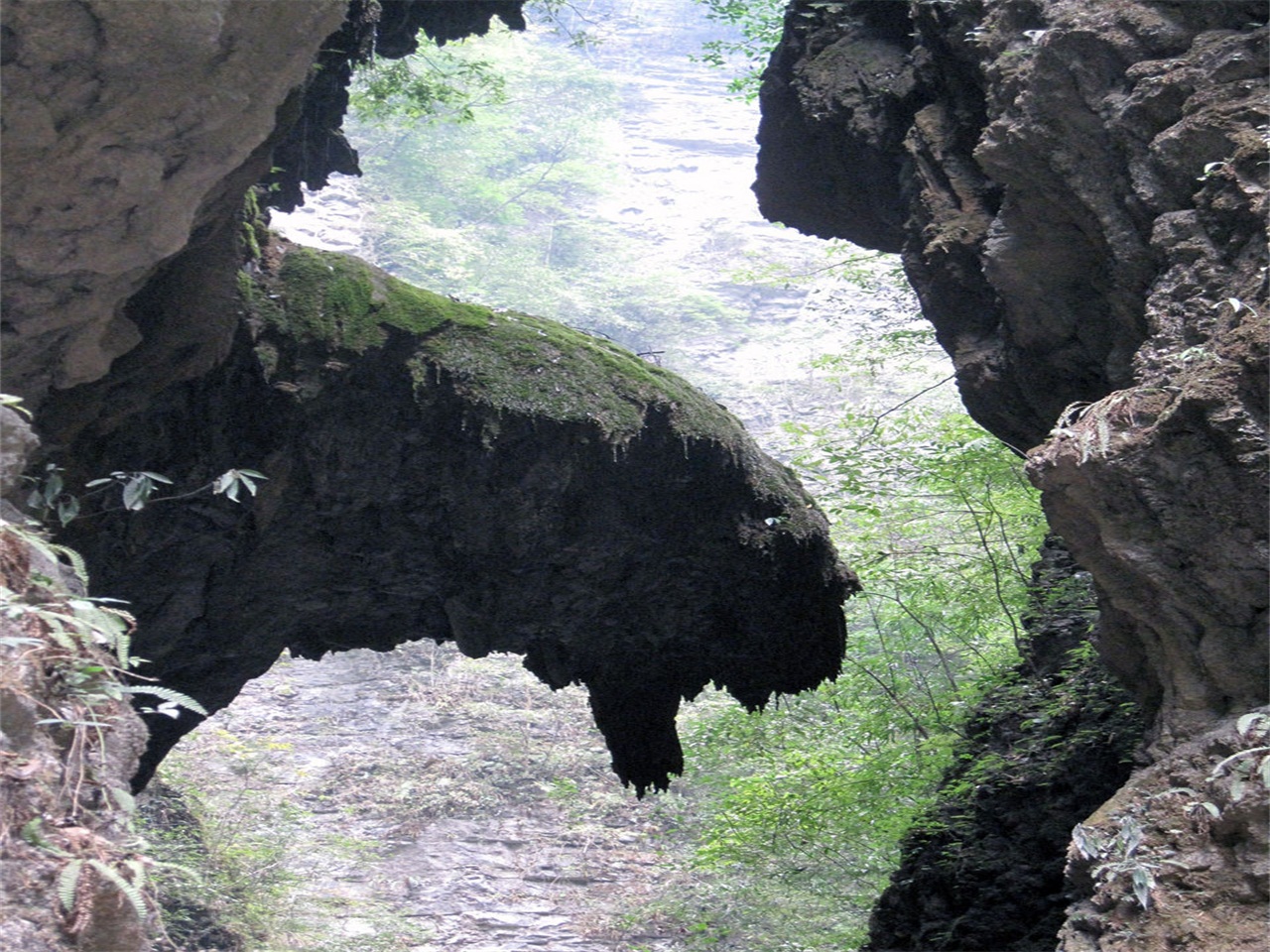 观音峡石窟