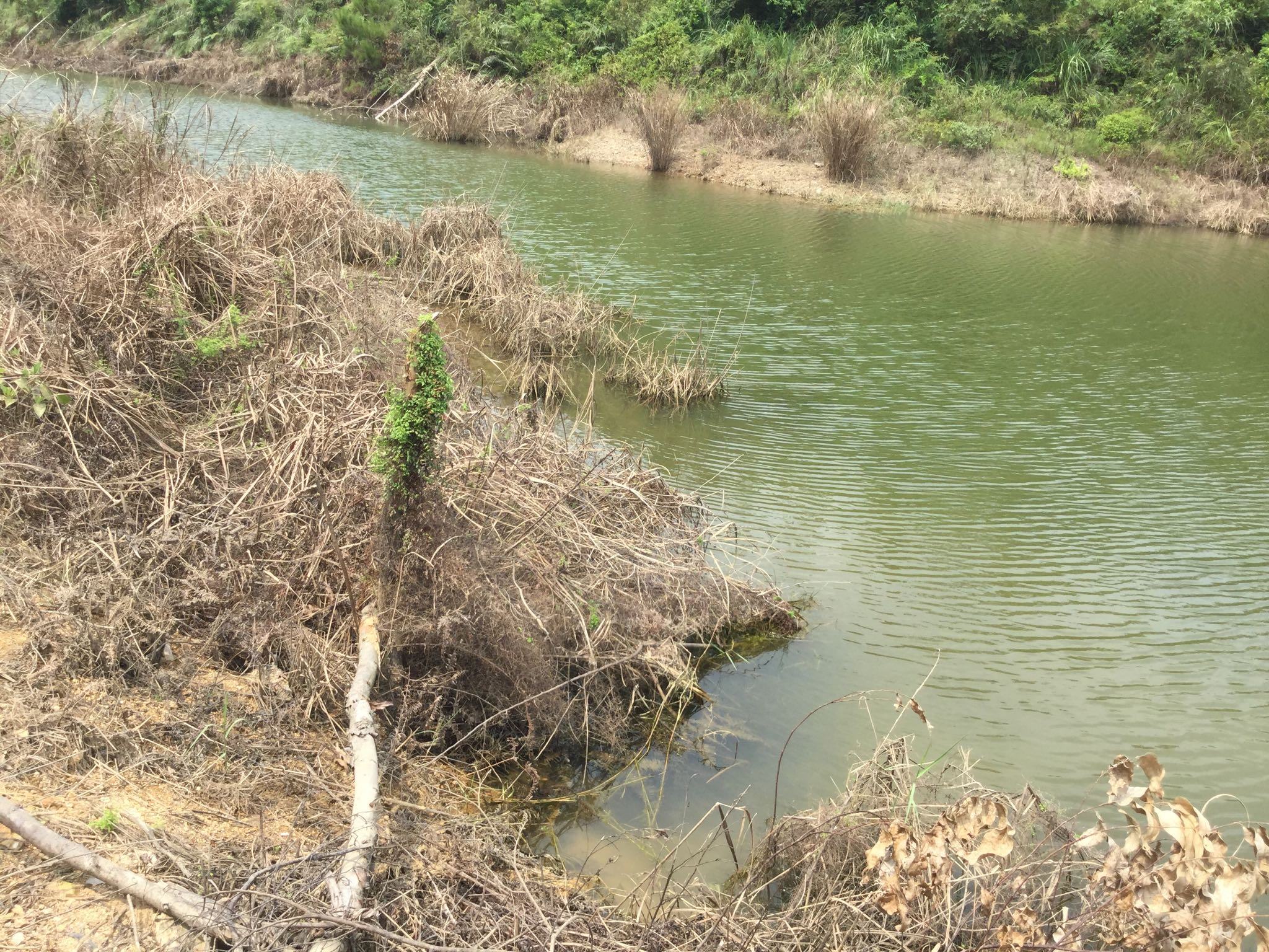 灯草塘水库