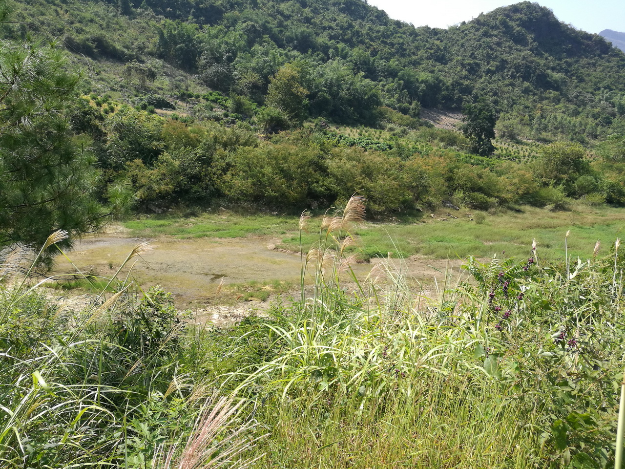 鸡笼弄水库