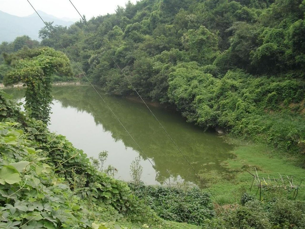 漓渚镇岭下水库