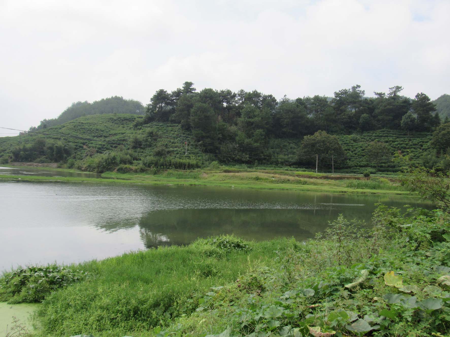 松岗坝水库