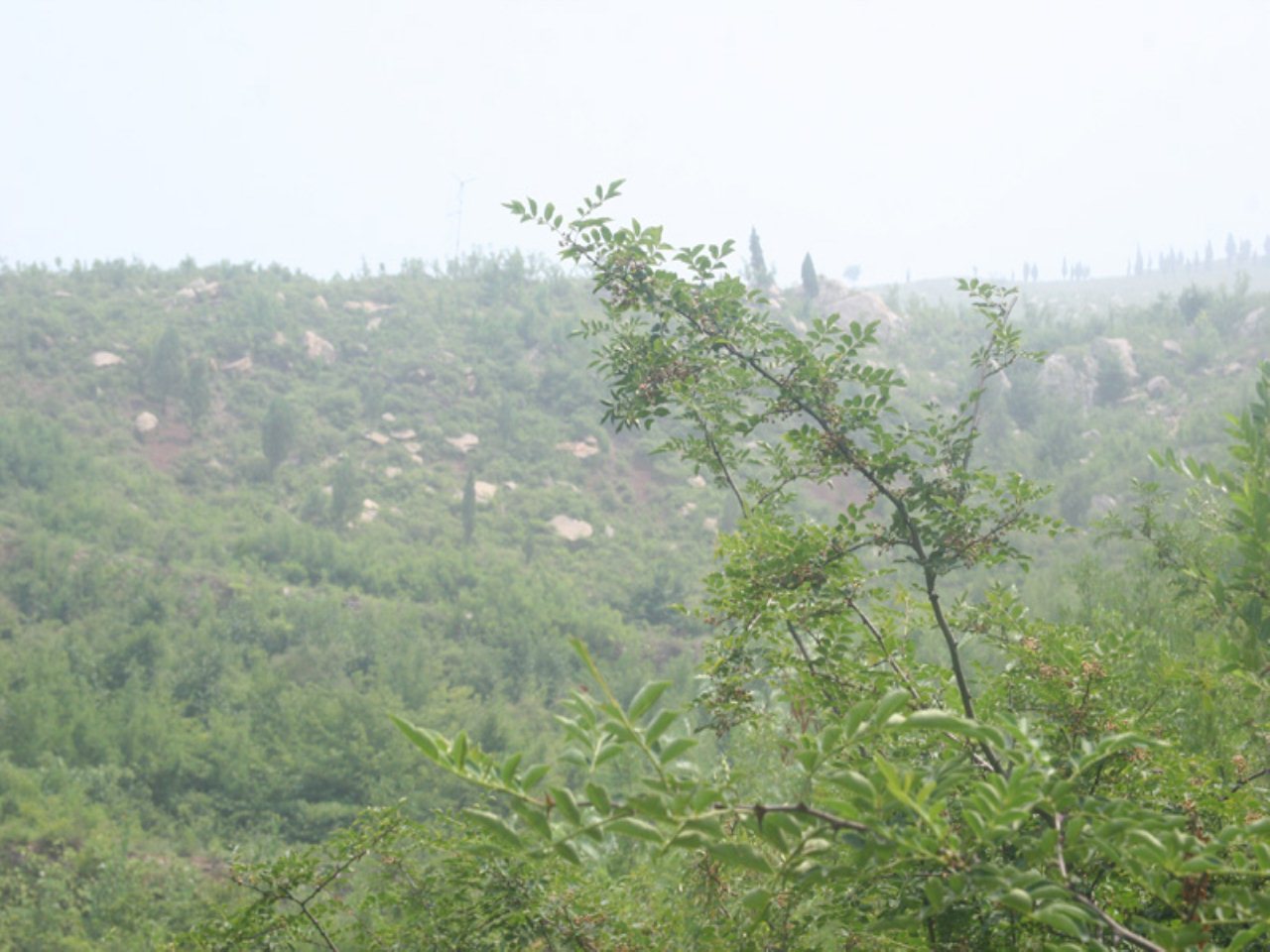 饭汤泉