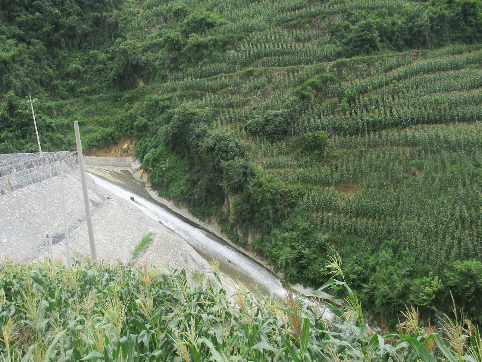 龙场河沟