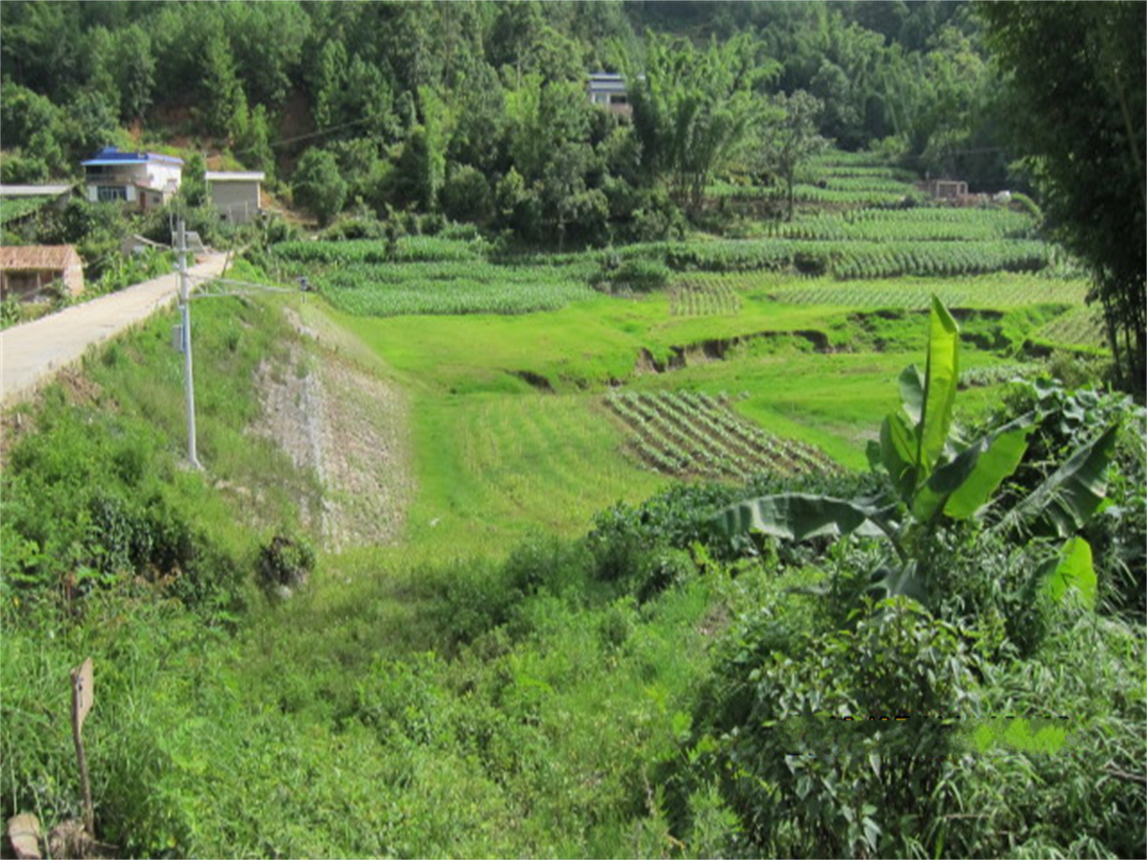 石岩脚水库