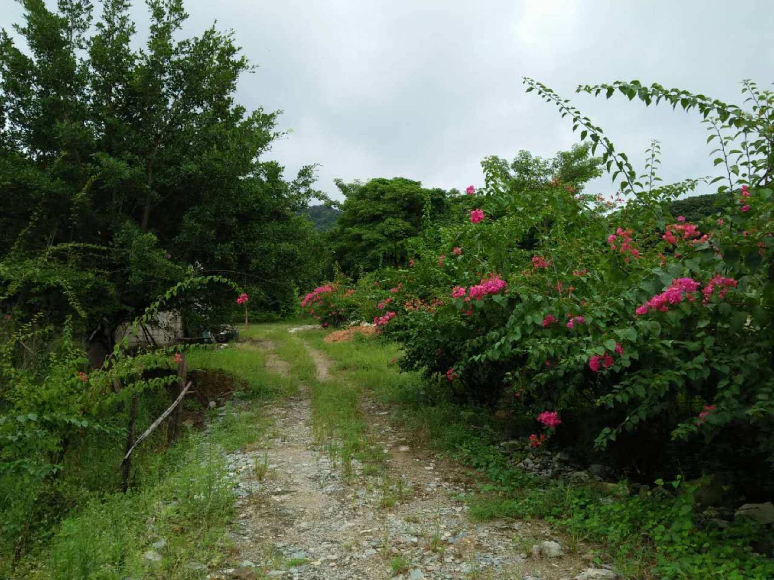 厦门市迎馨农庄