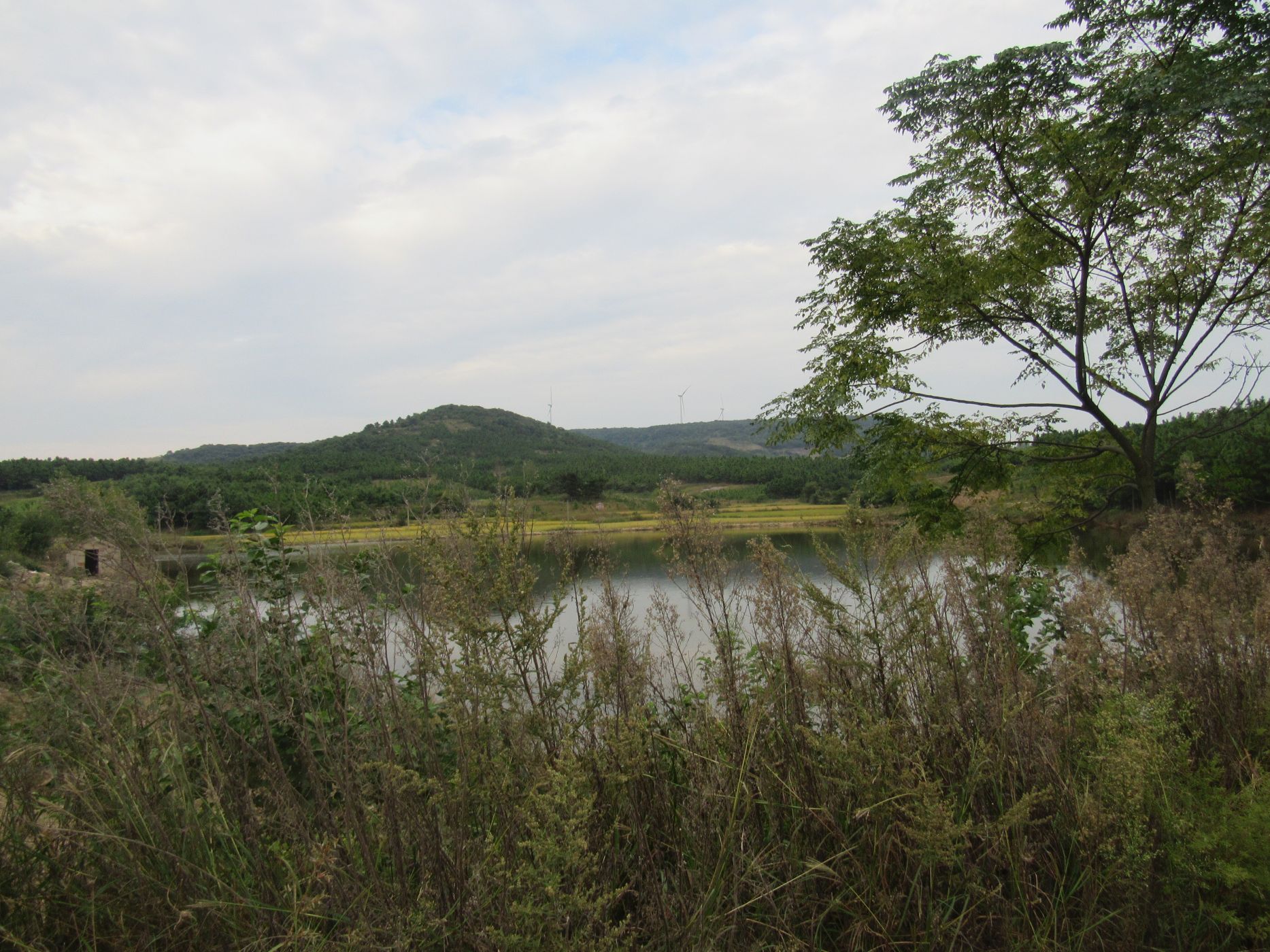 上新坝水库