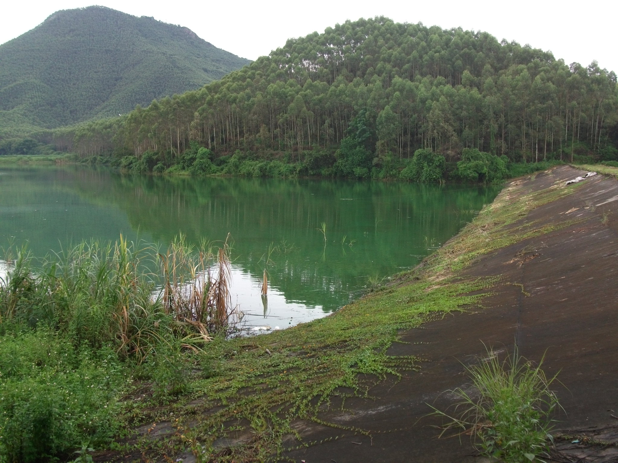 羊栏水库