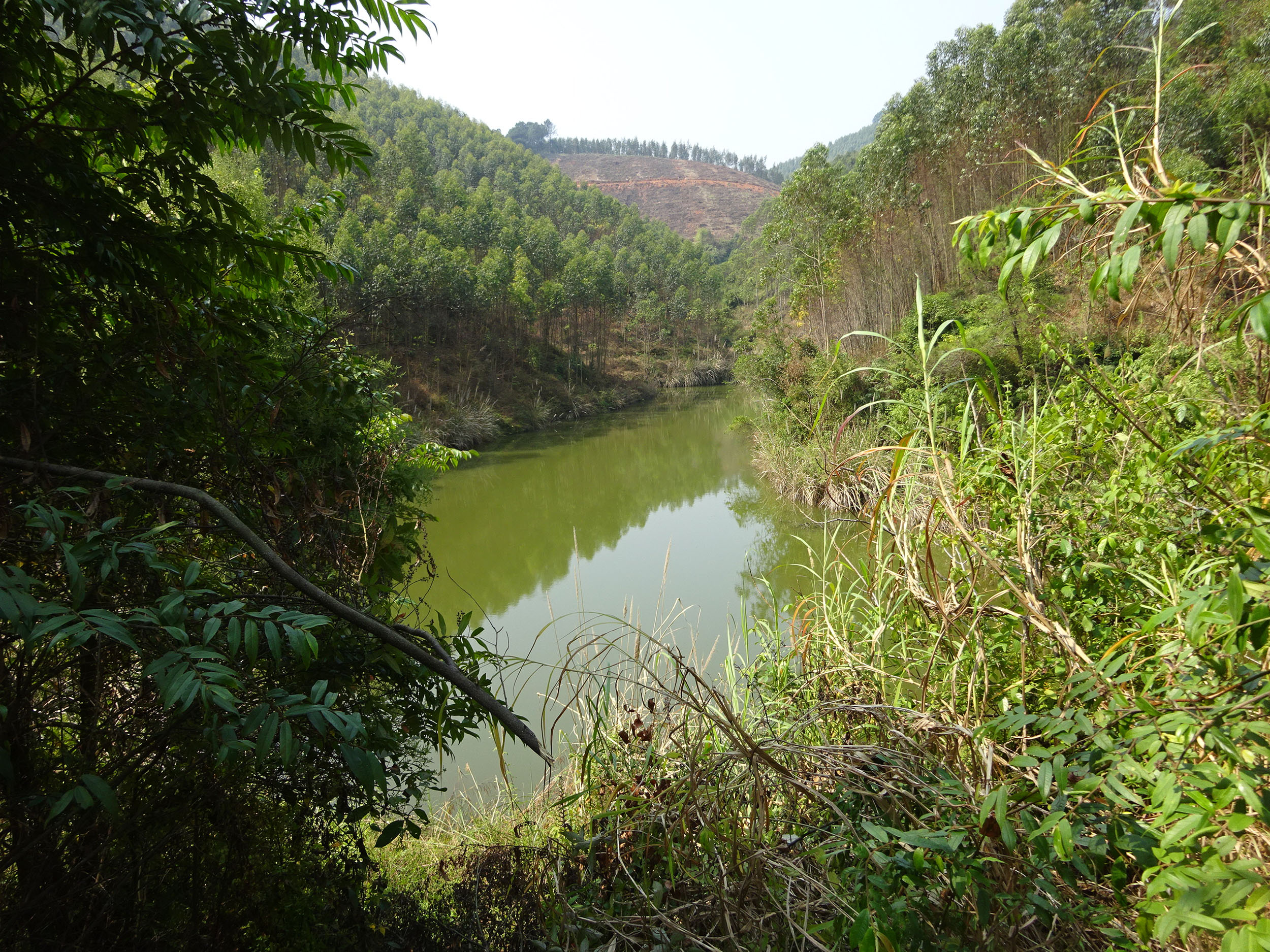 榃尾水库