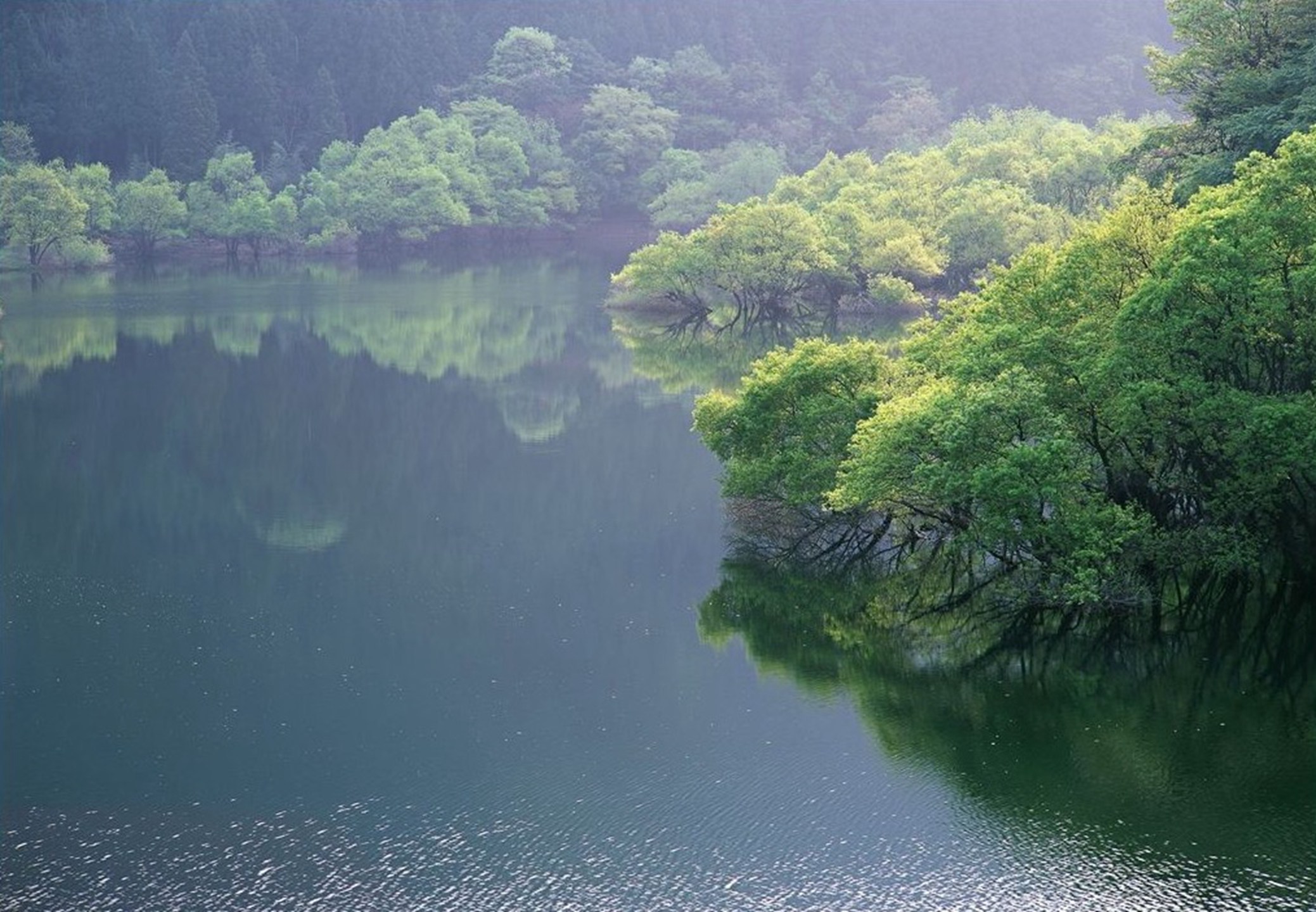 黎里塘