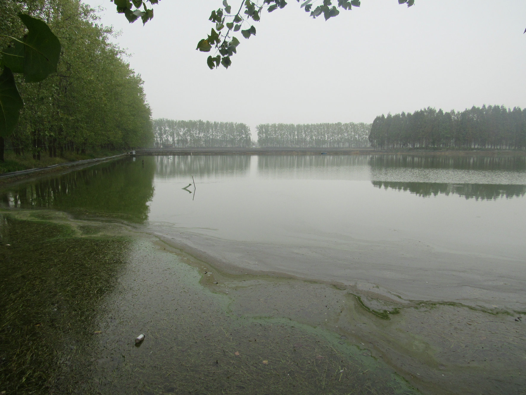 许洼水库