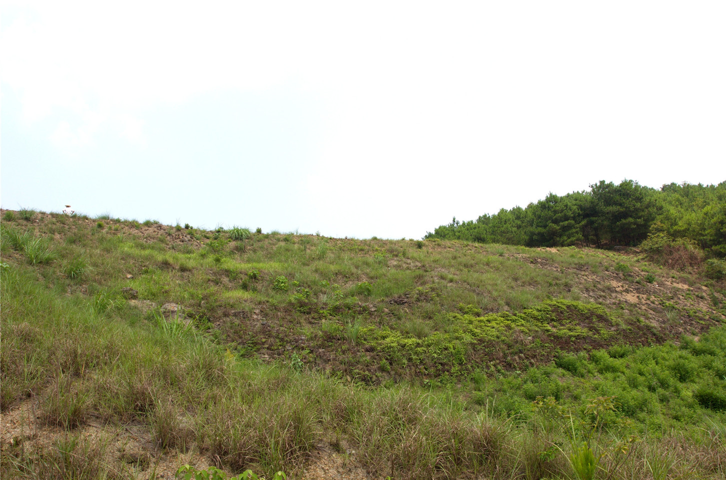 老山水库