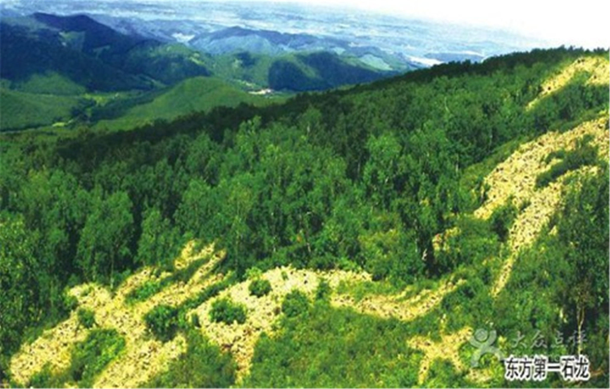 石龙山国家级森林公园