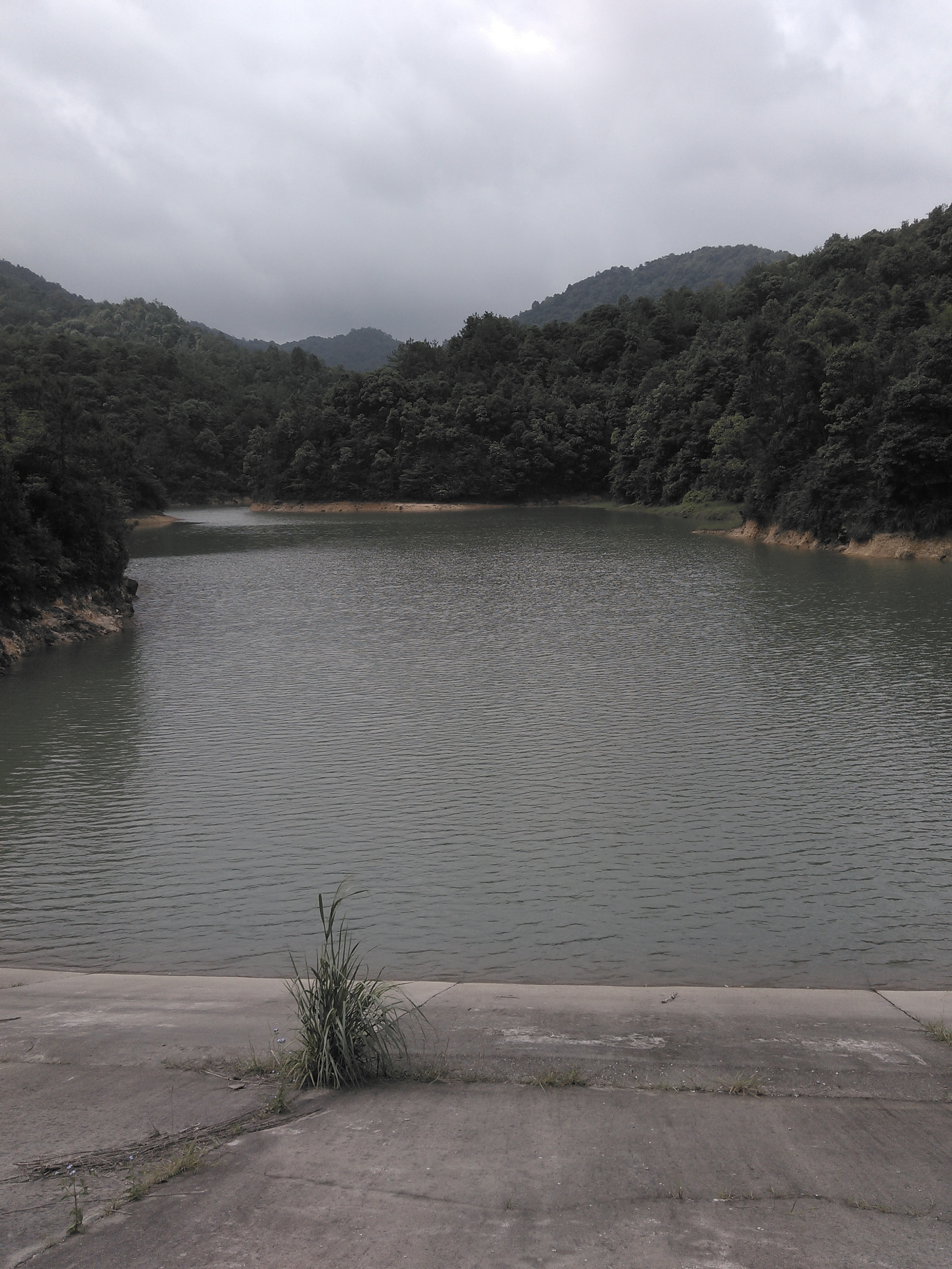 芋子坪水库