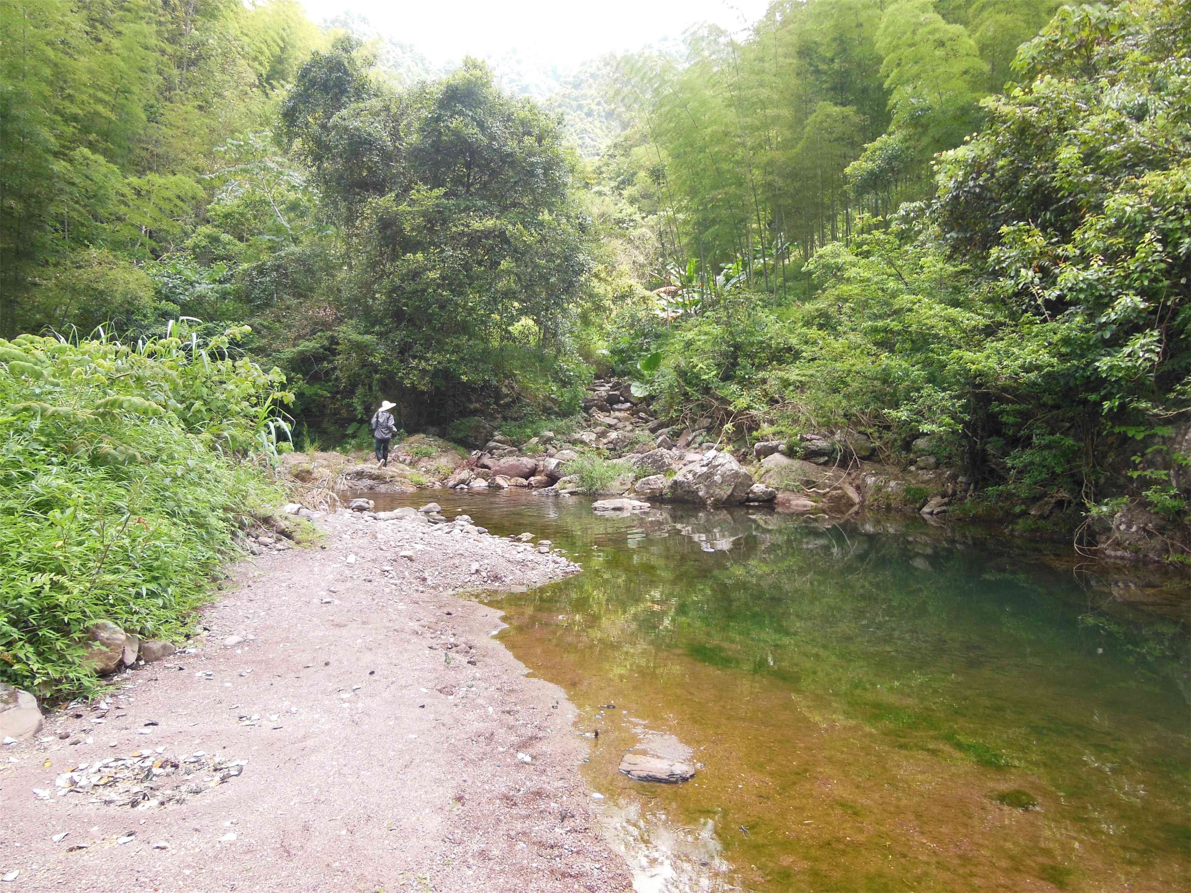 大水河