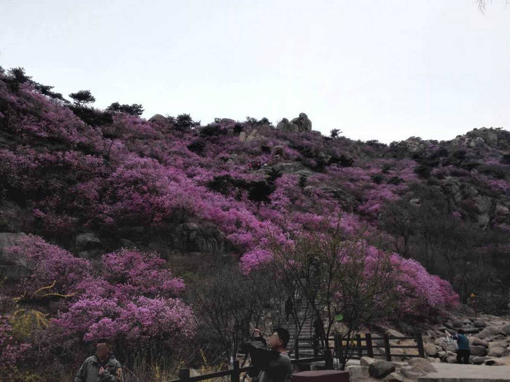 大珠山景区