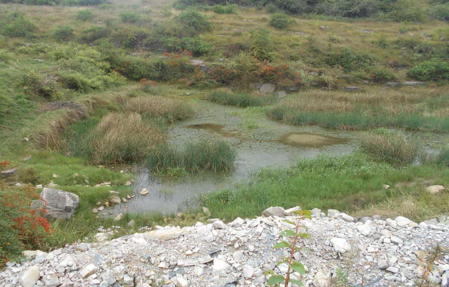 核桃井水库