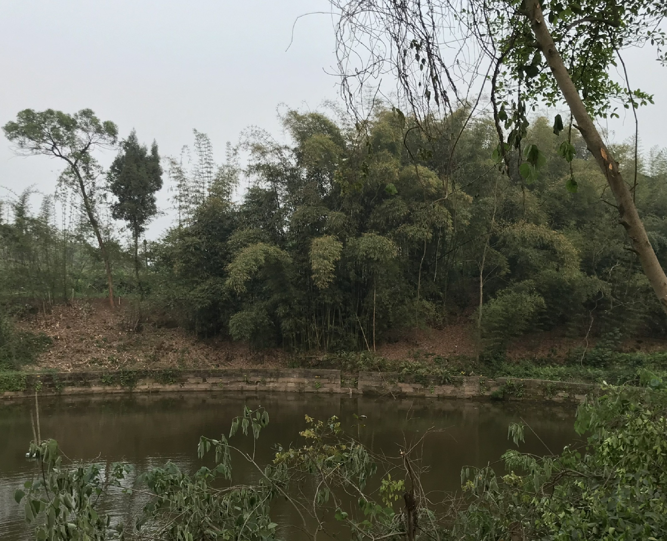 黎家沟水库