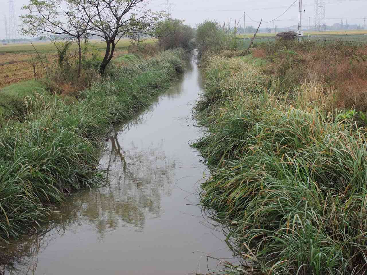 黄连头河