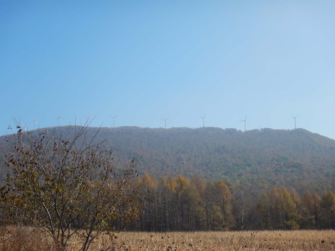 蒙古山风电景区