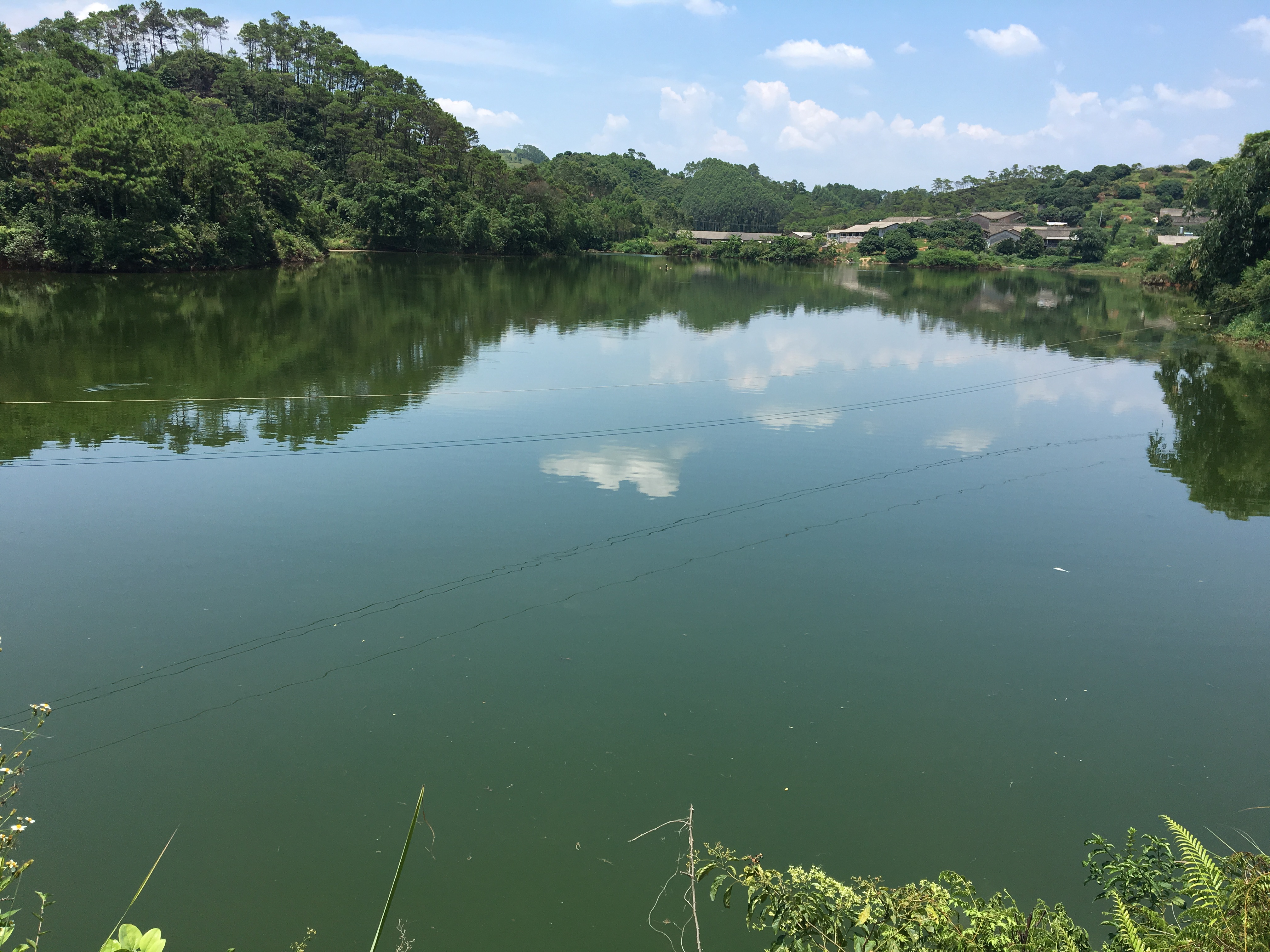 金鸡塘水库