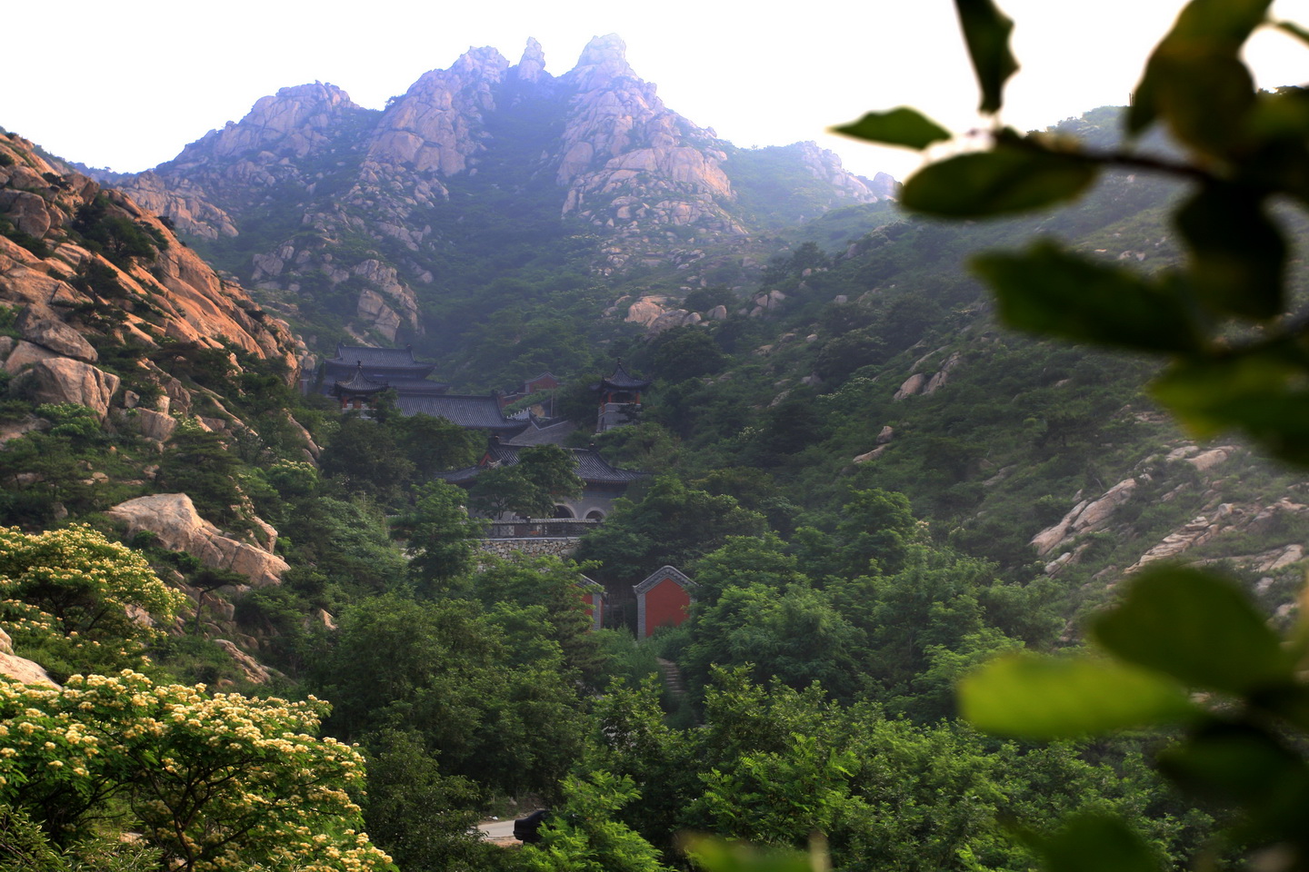 大泽山自然保护区