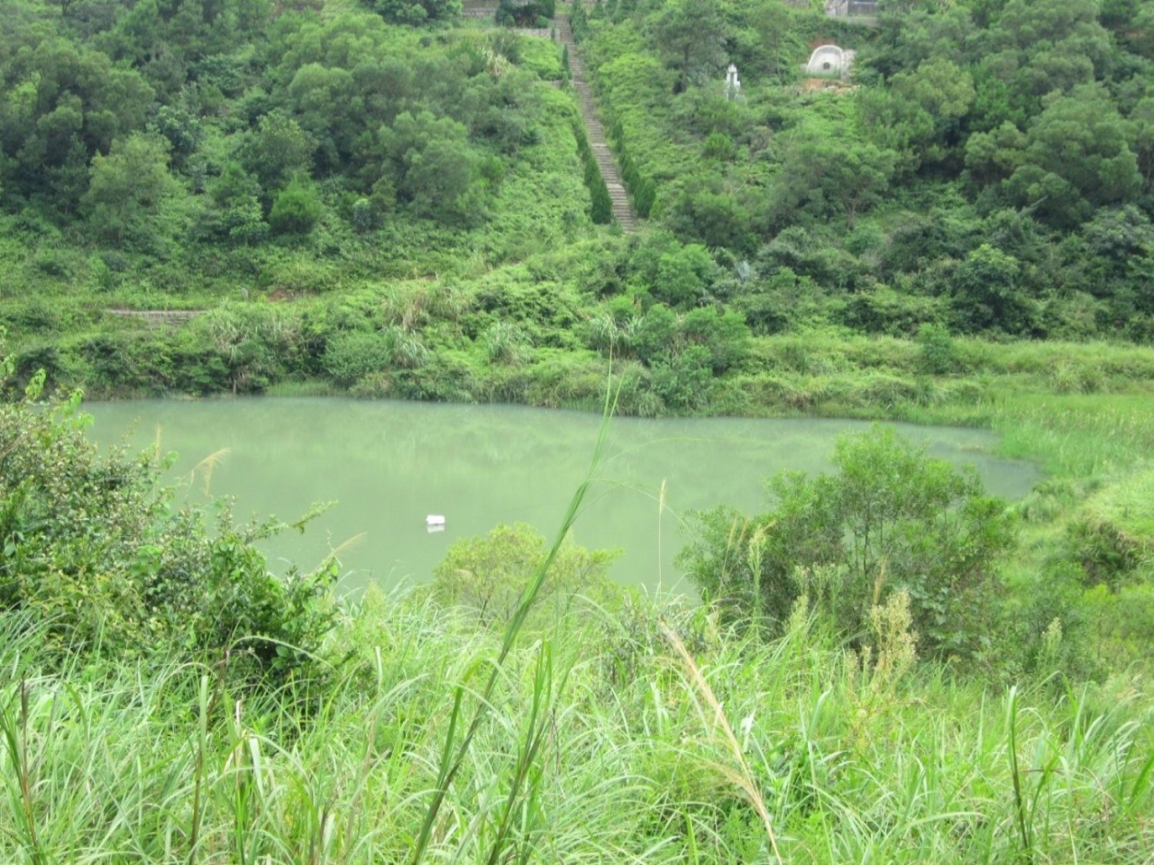 西崙头水库