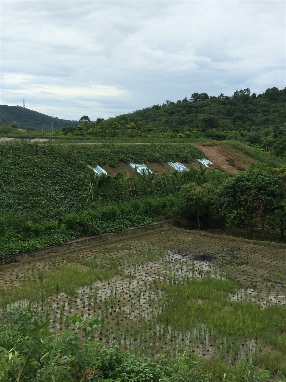 山后水库