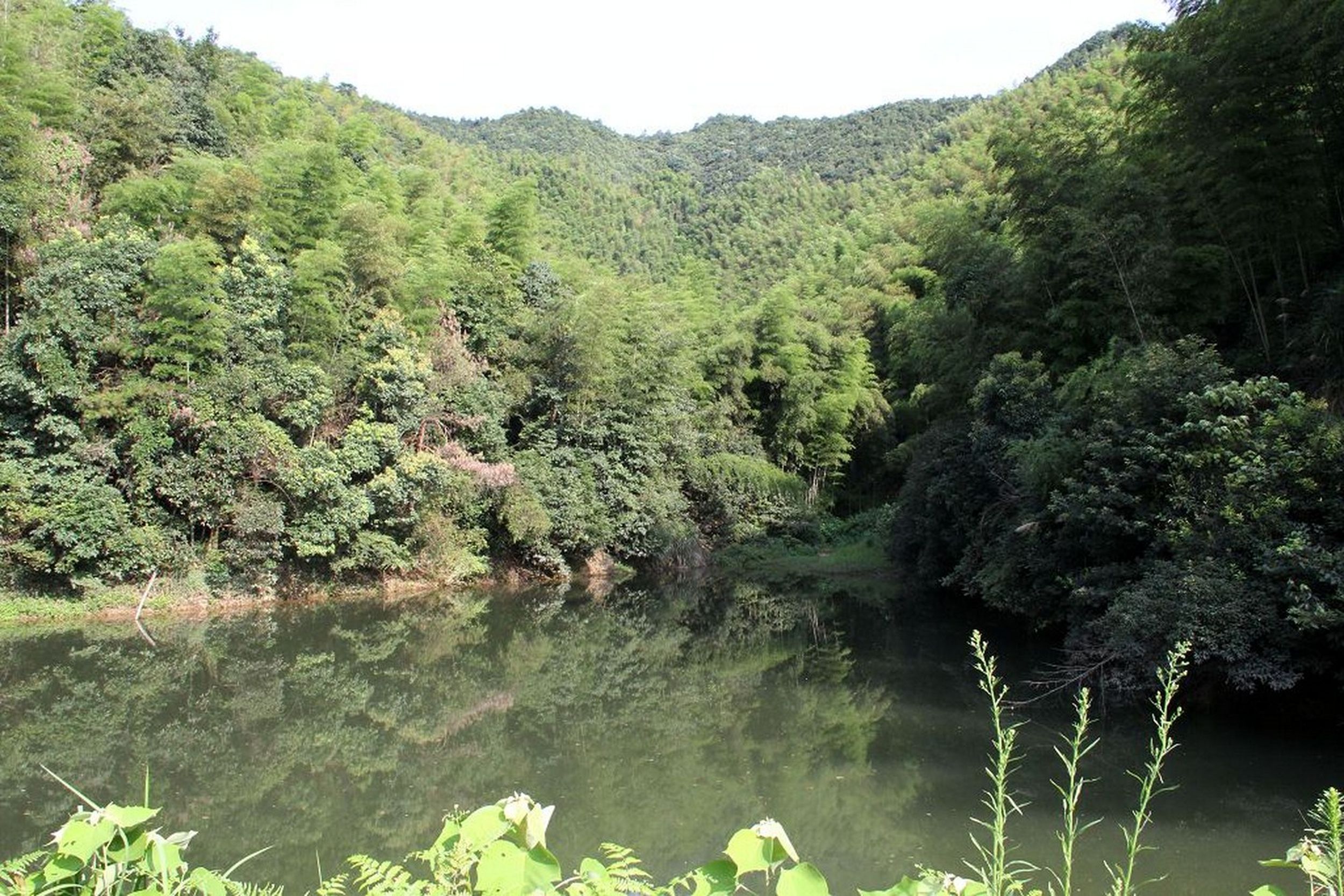 直头坞山塘水库