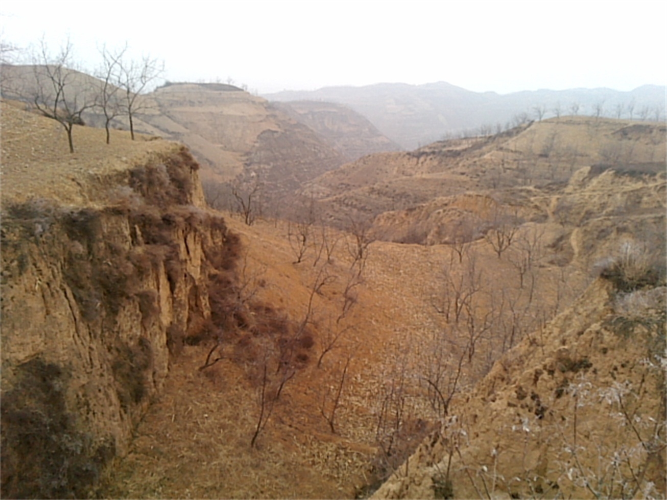 算地沟