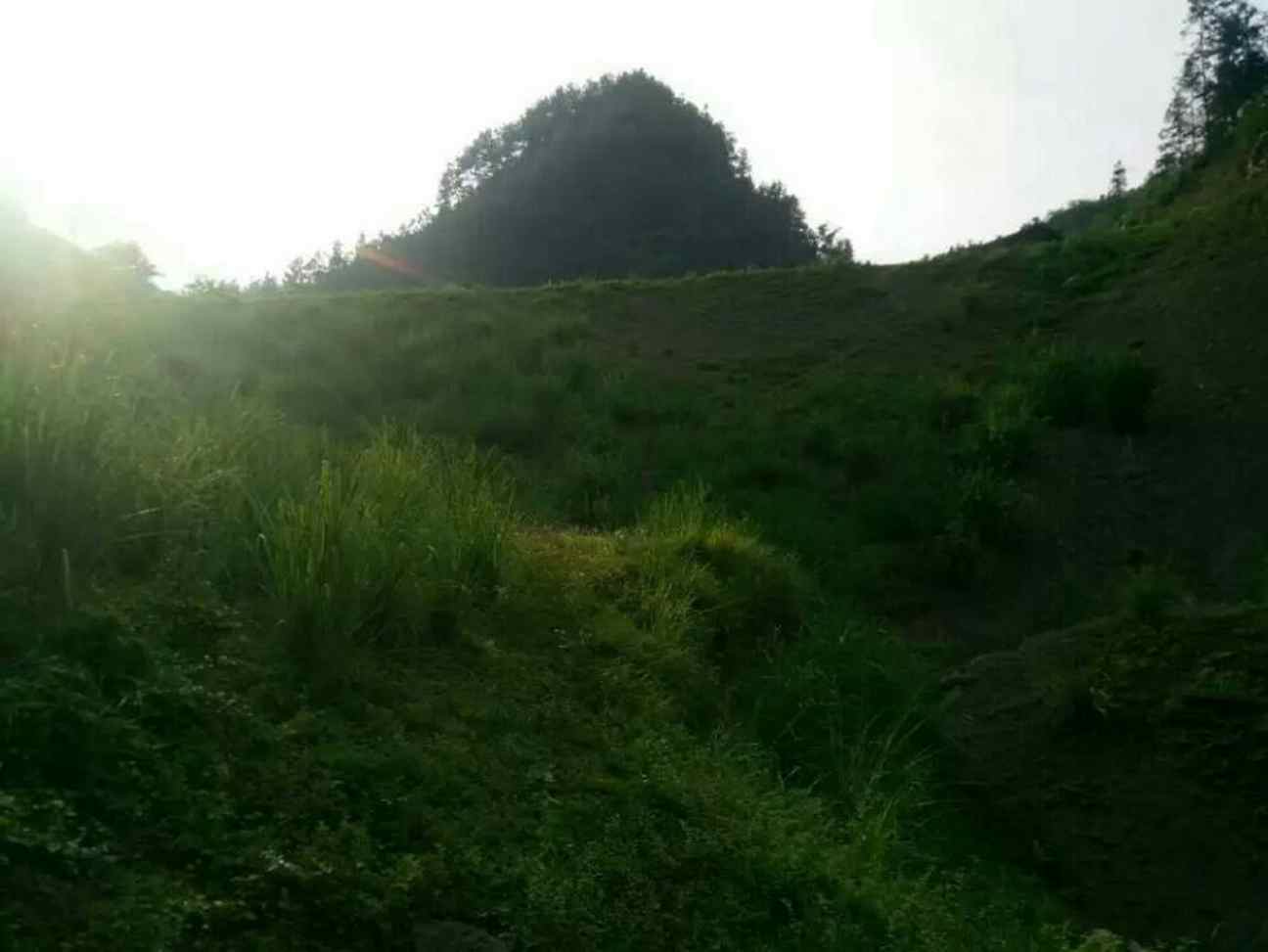 漆树湾水库