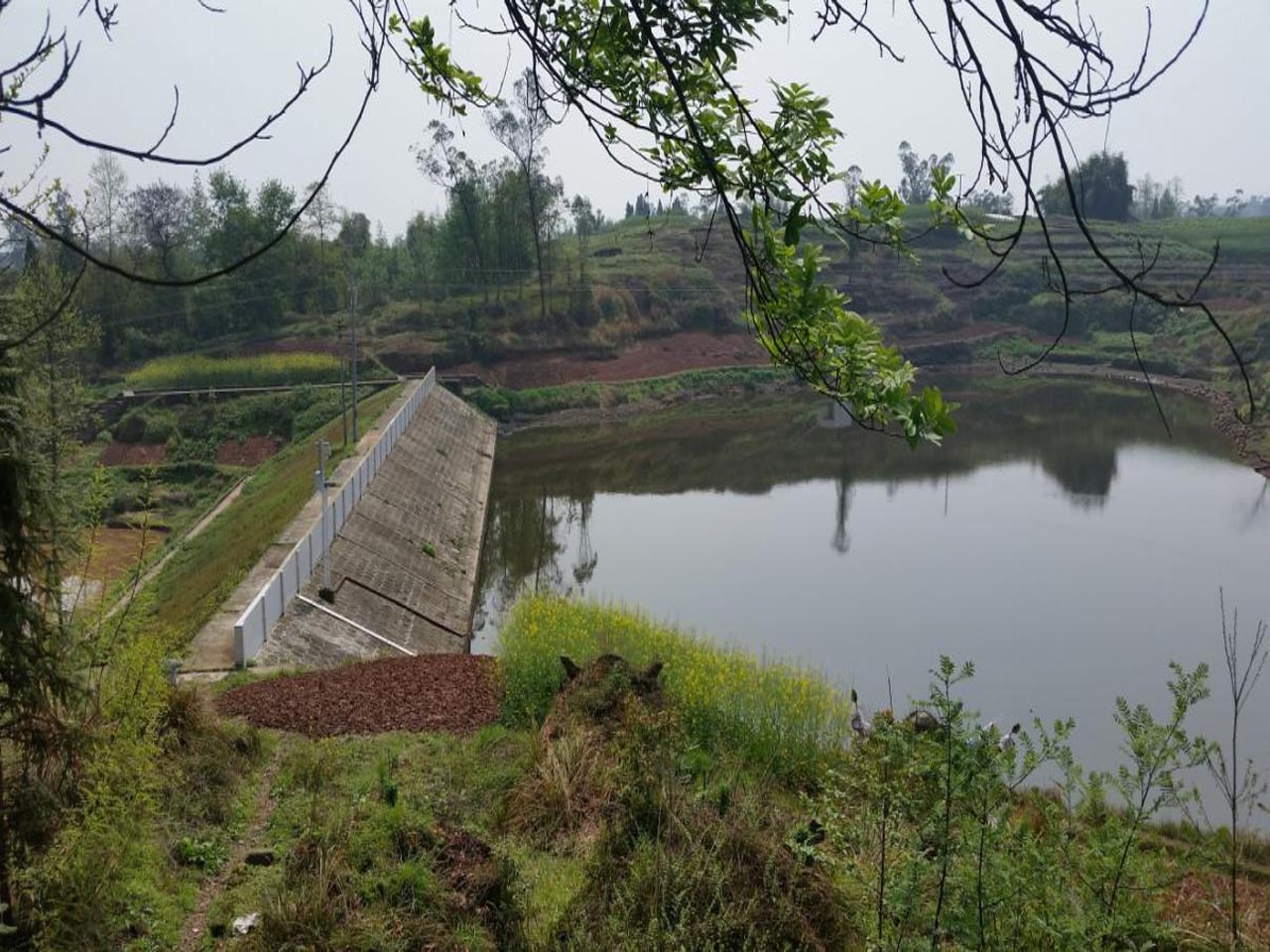 观音岩水库