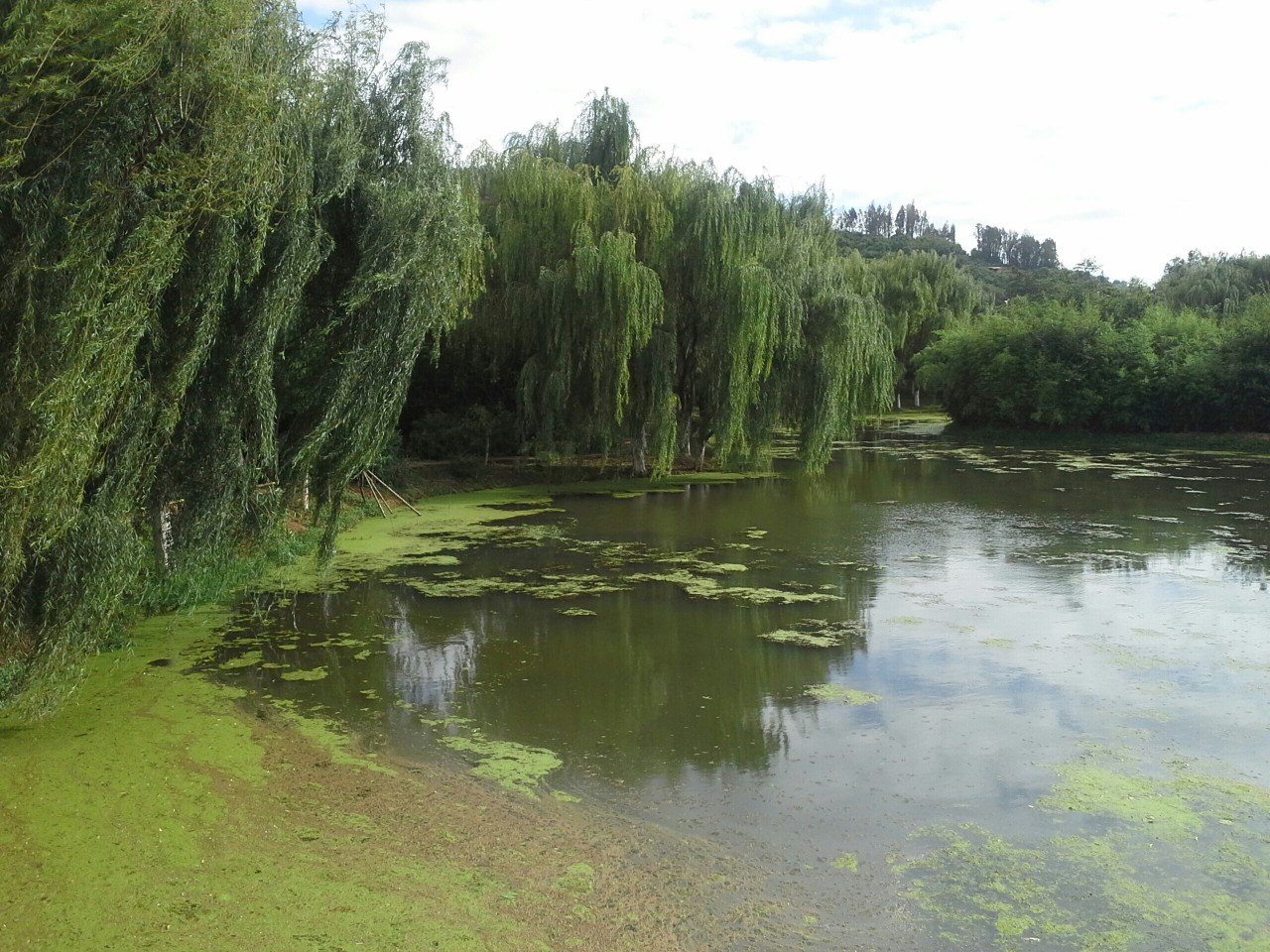 两河湿地公园