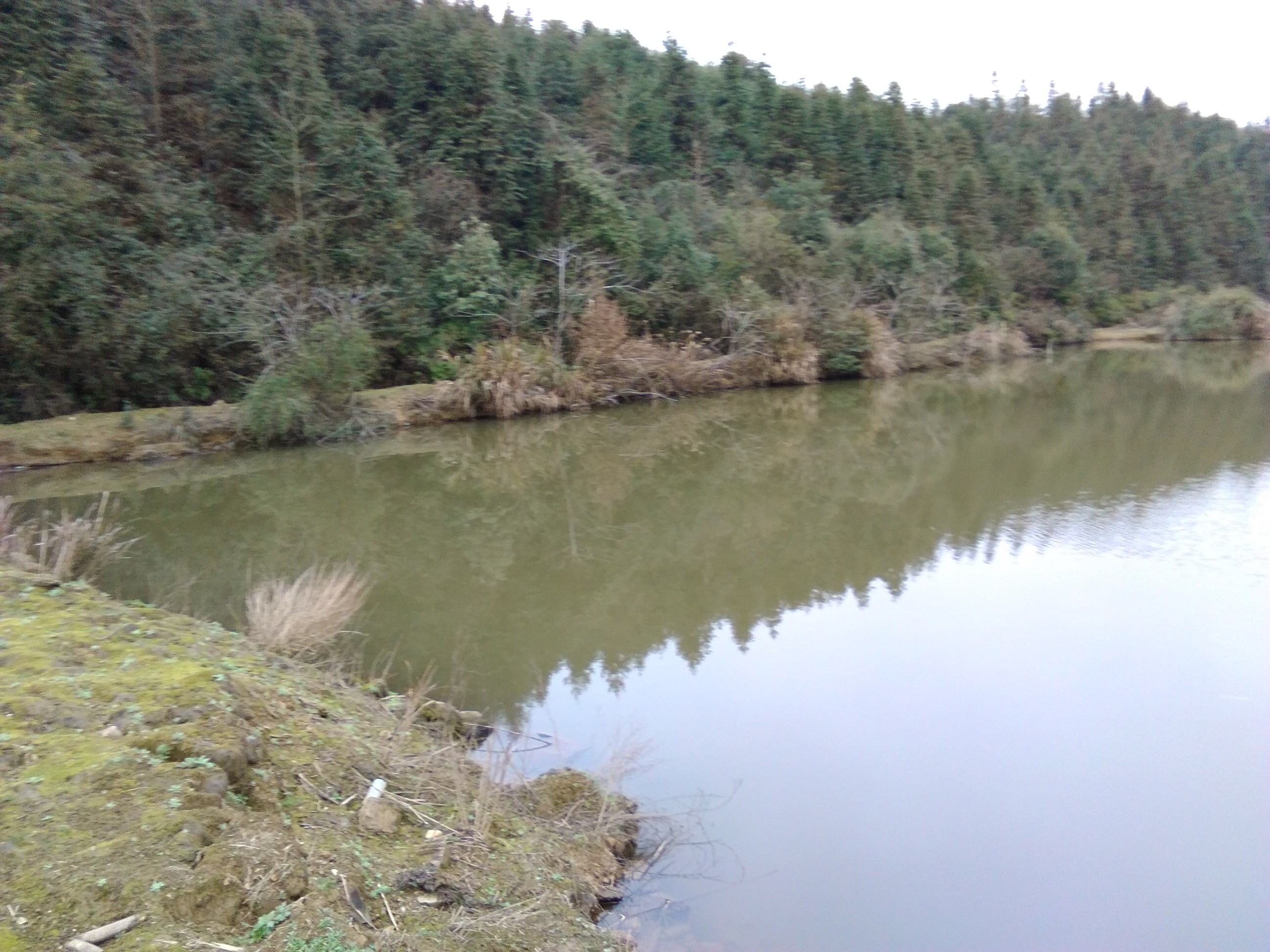 鸡公岑山塘