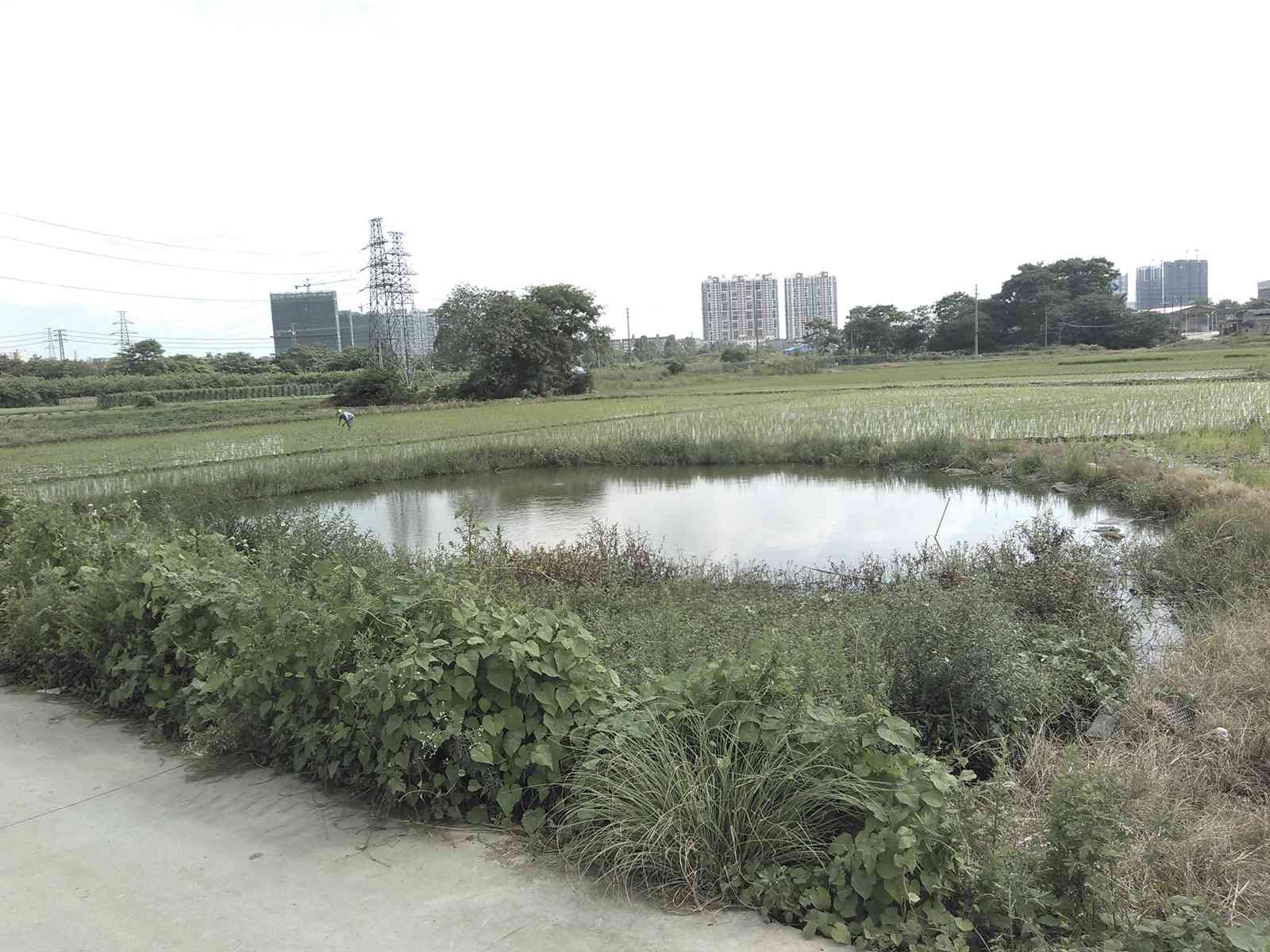 本光汶