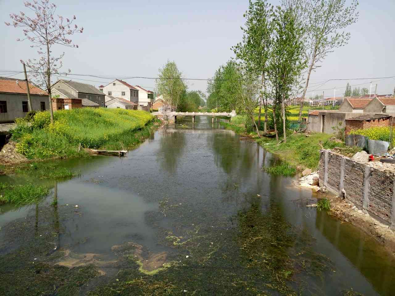 东里道河