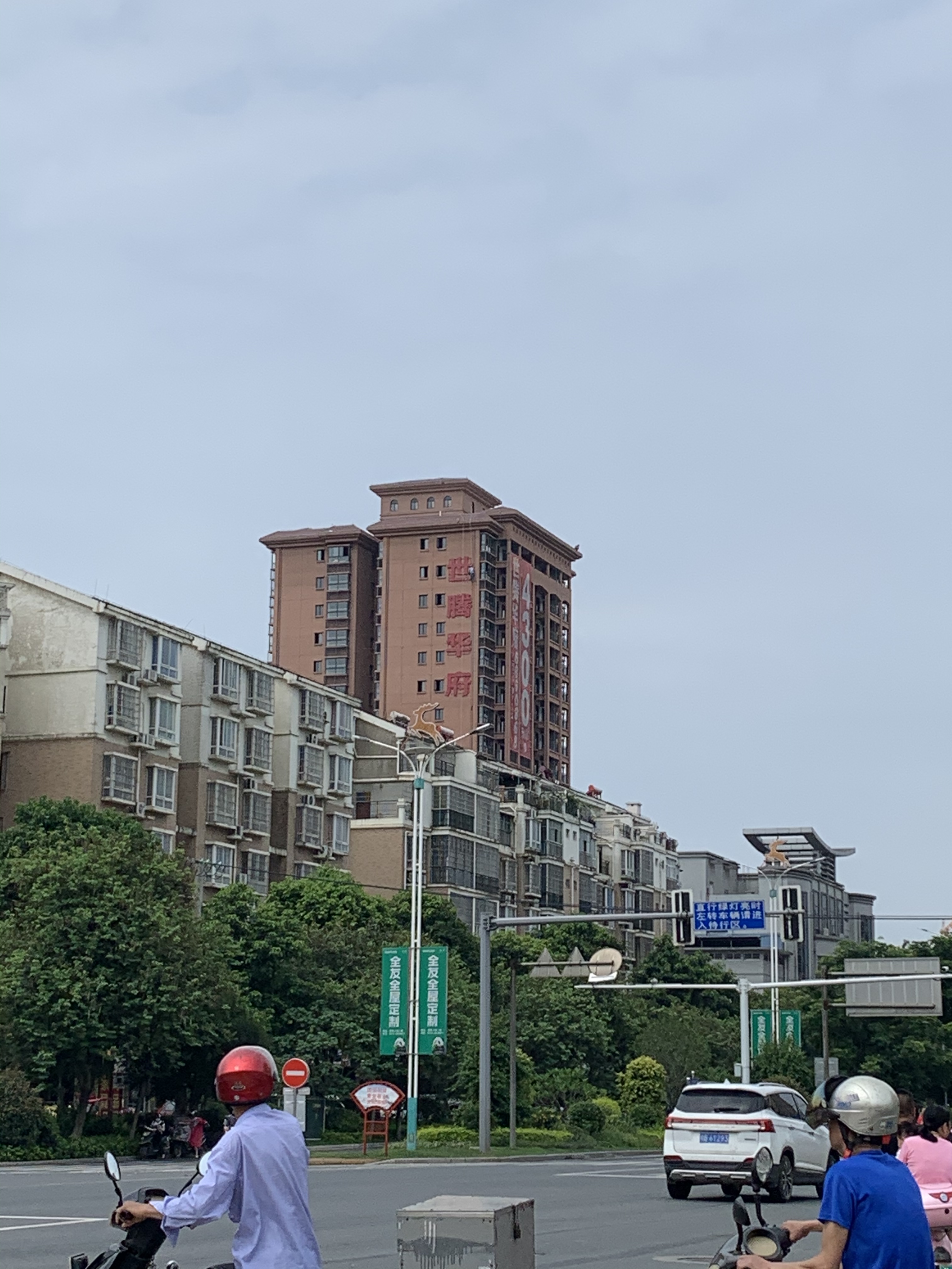世腾华府
