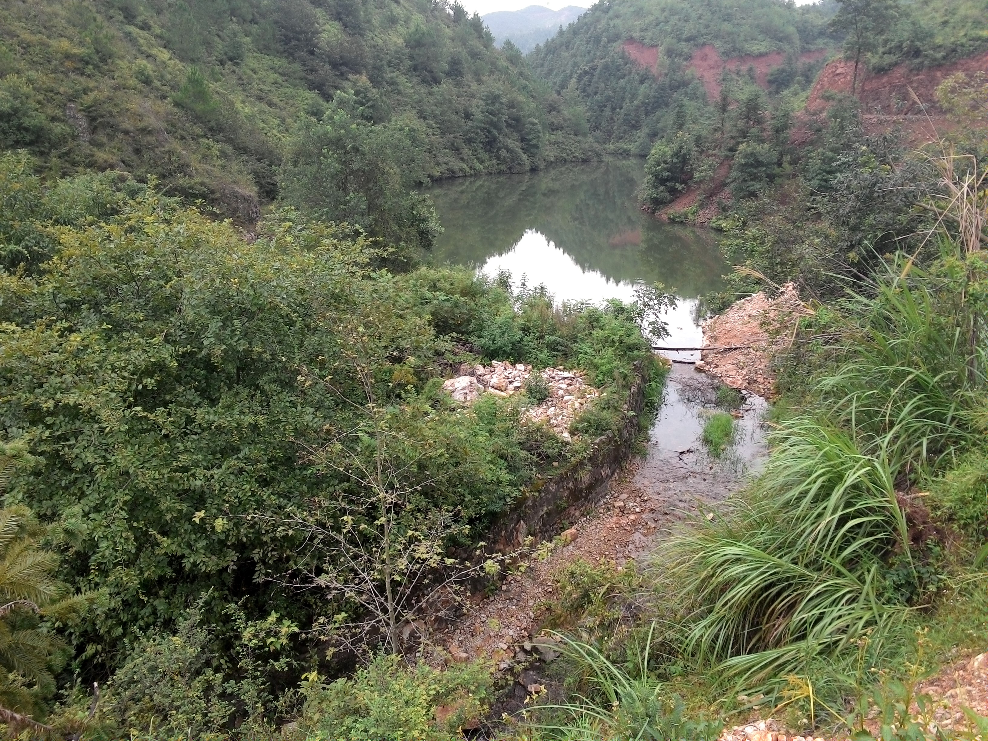 高排坑水库