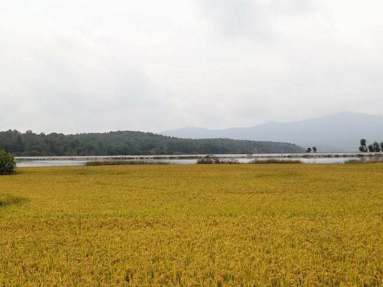 两道沟水库