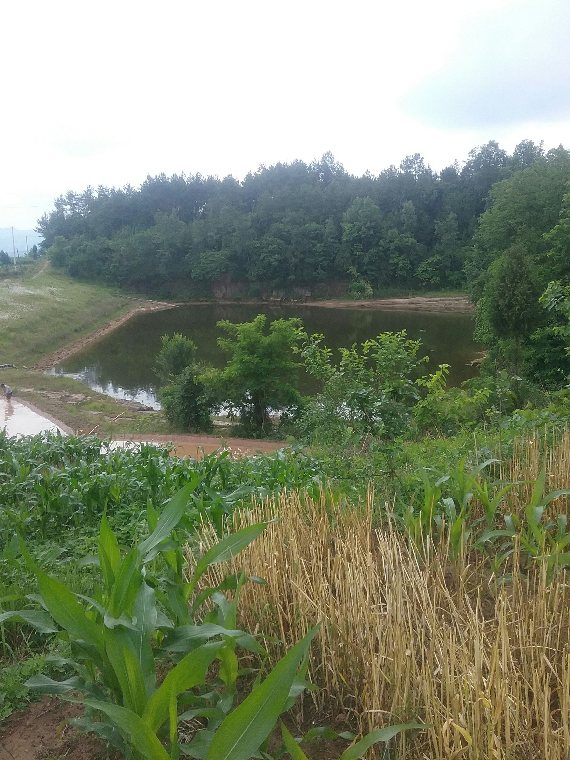 永红水库