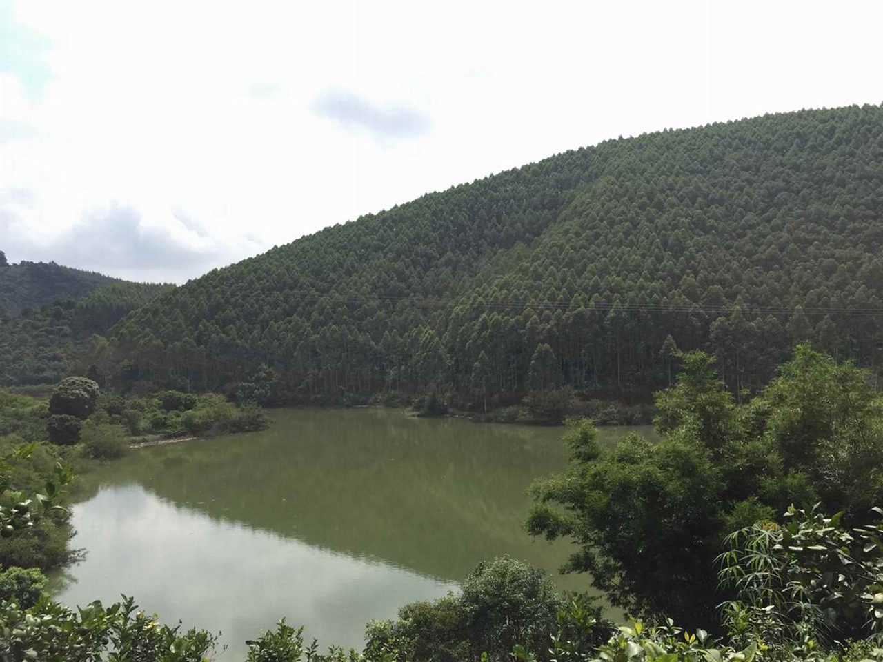 船塘坑水库