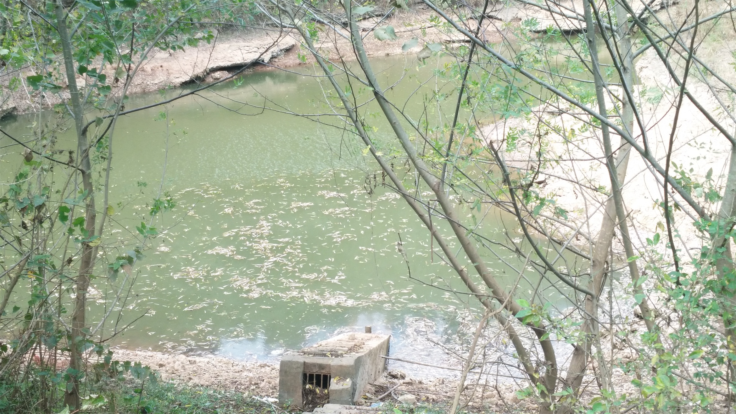 老母湾水库